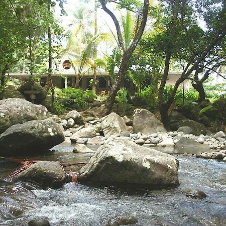 Citrus Creek Plantation Villa La Plaine Bagian luar foto