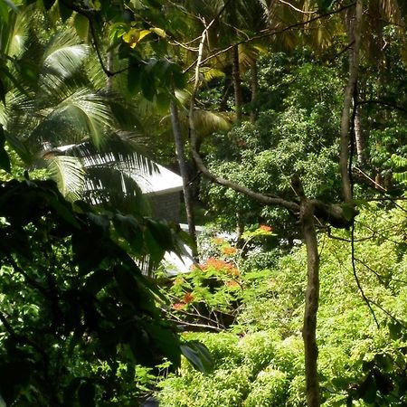 Citrus Creek Plantation Villa La Plaine Bagian luar foto