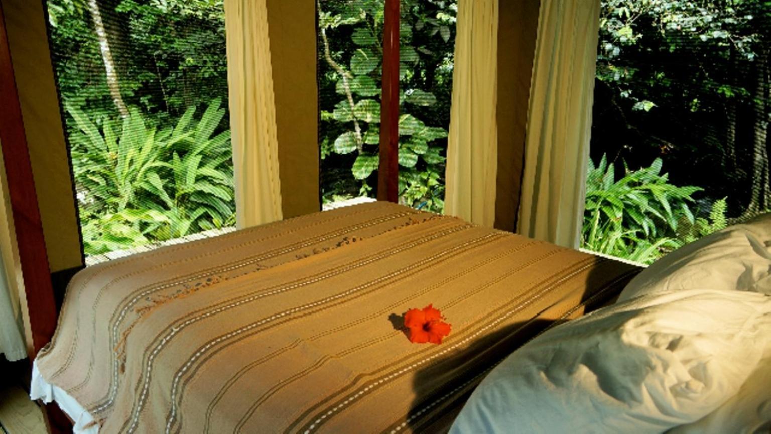 Citrus Creek Plantation Villa La Plaine Bagian luar foto