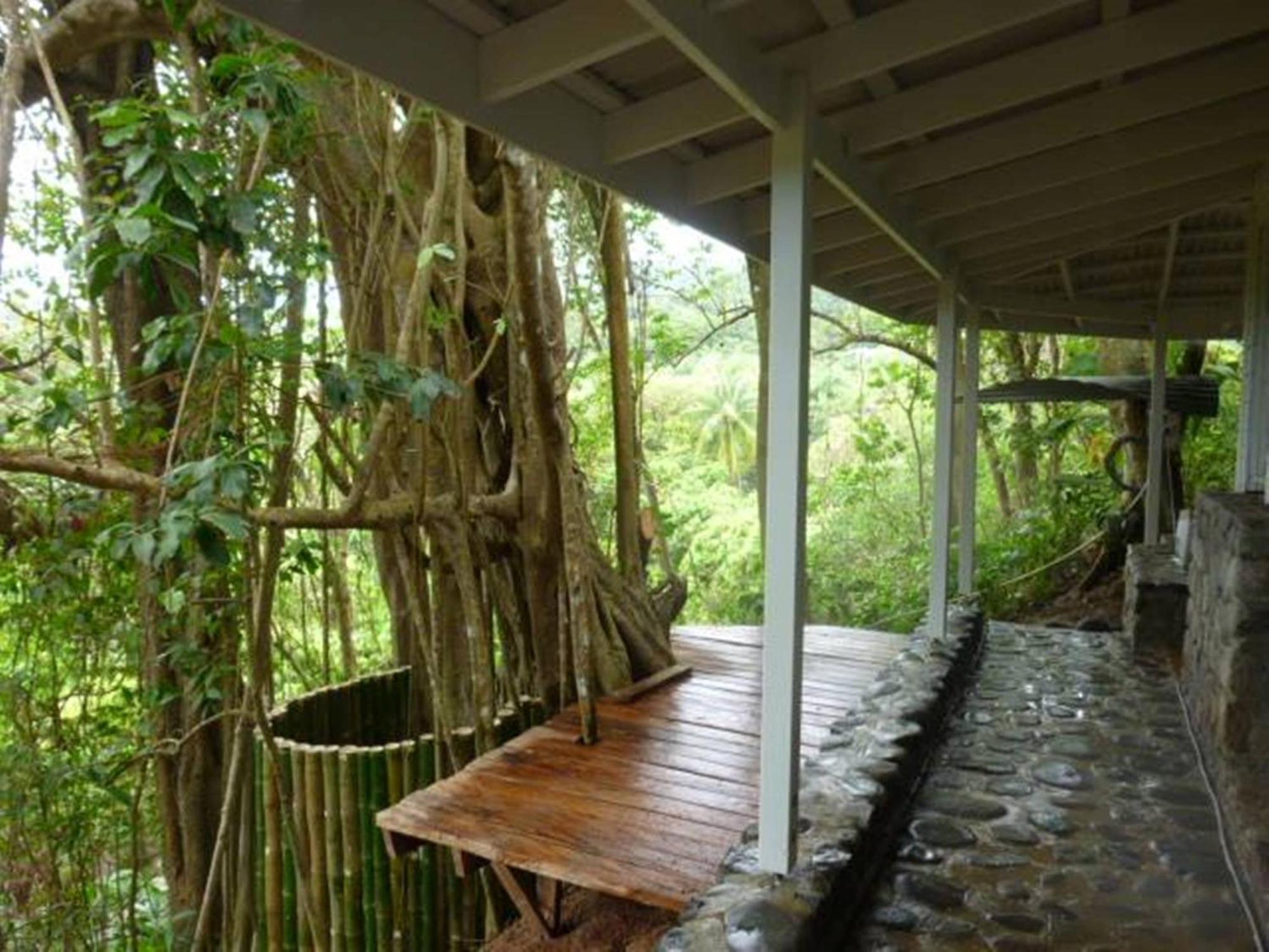 Citrus Creek Plantation Villa La Plaine Bagian luar foto