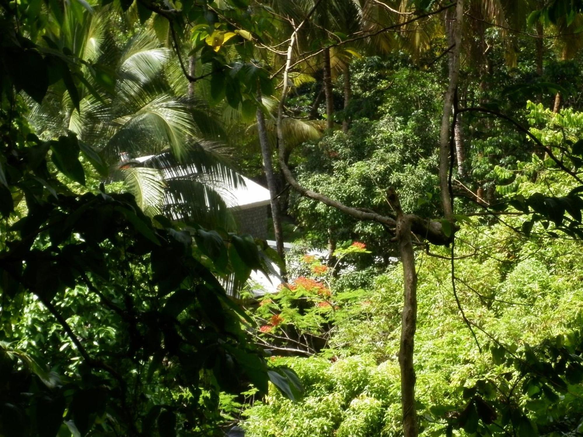 Citrus Creek Plantation Villa La Plaine Bagian luar foto