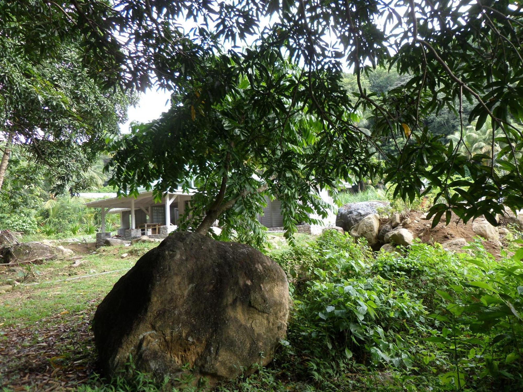 Citrus Creek Plantation Villa La Plaine Ruang foto