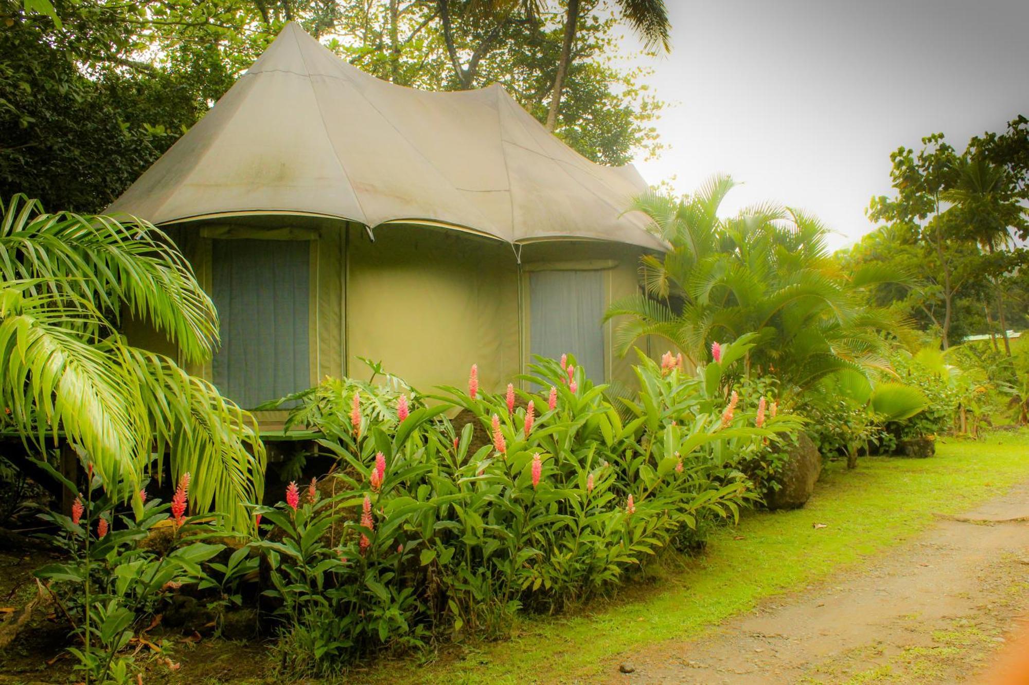 Citrus Creek Plantation Villa La Plaine Ruang foto