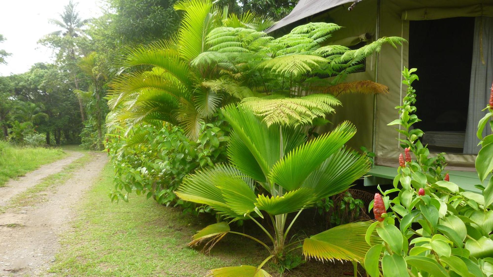 Citrus Creek Plantation Villa La Plaine Ruang foto