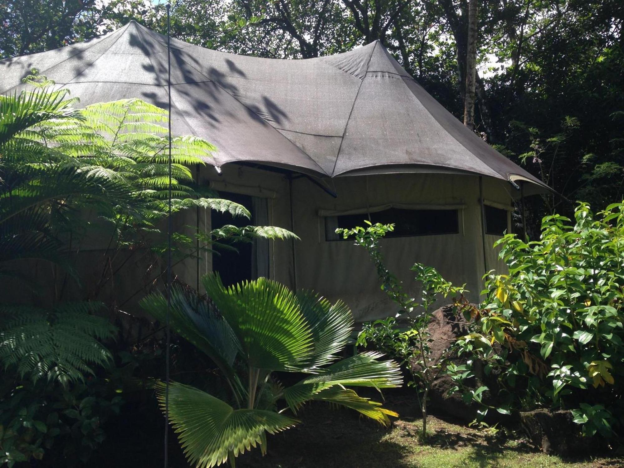 Citrus Creek Plantation Villa La Plaine Ruang foto
