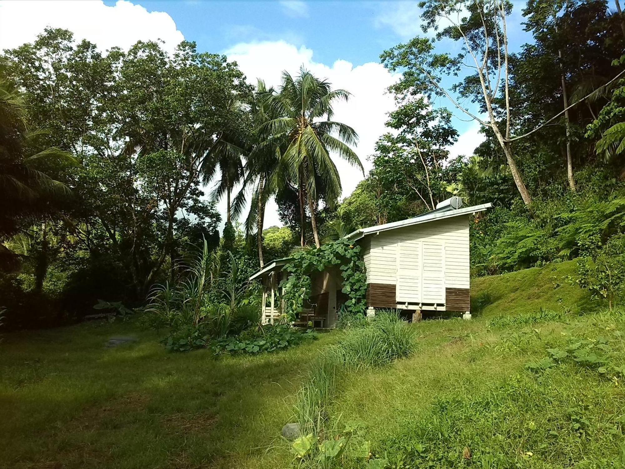 Citrus Creek Plantation Villa La Plaine Ruang foto