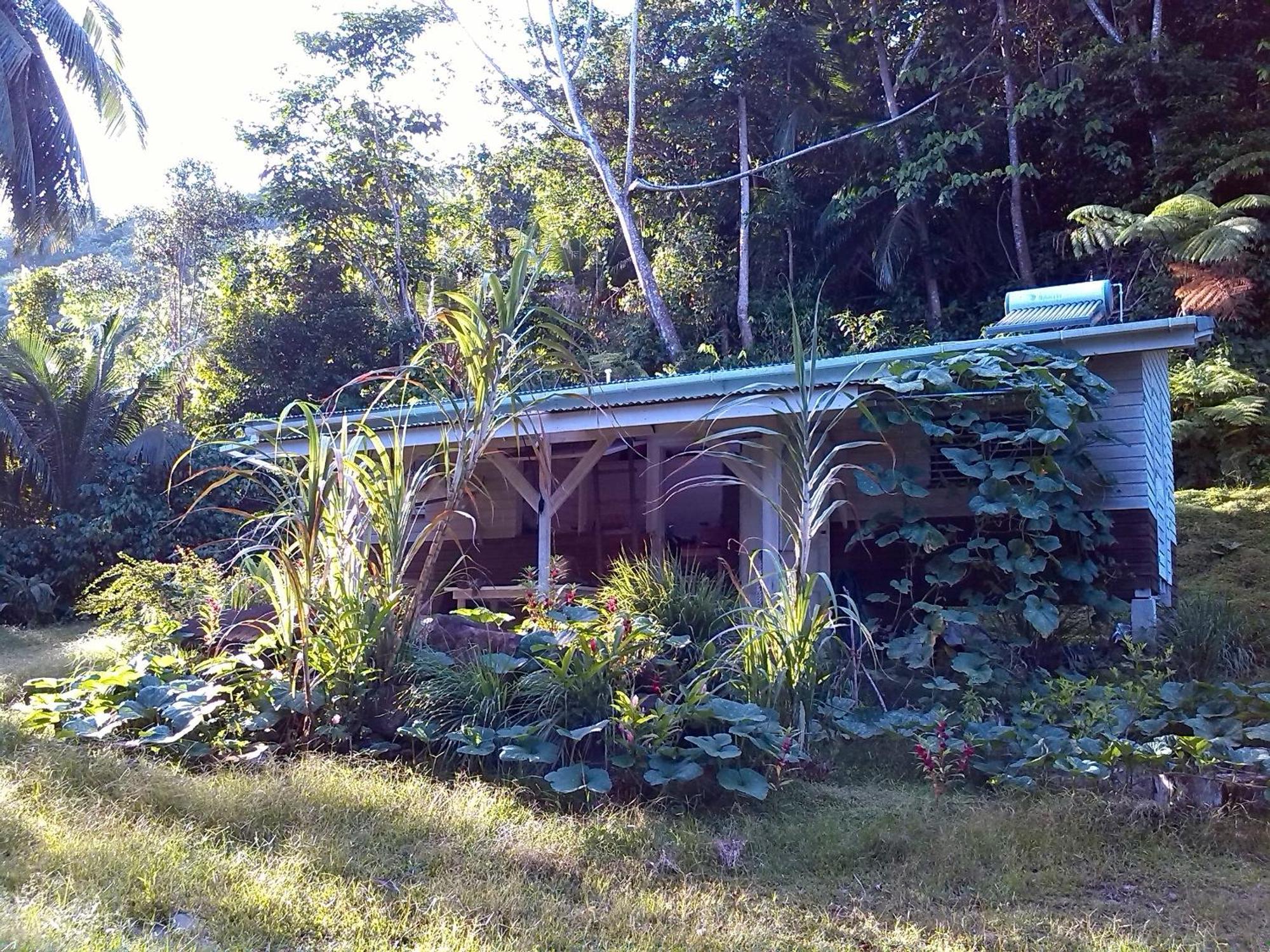 Citrus Creek Plantation Villa La Plaine Ruang foto