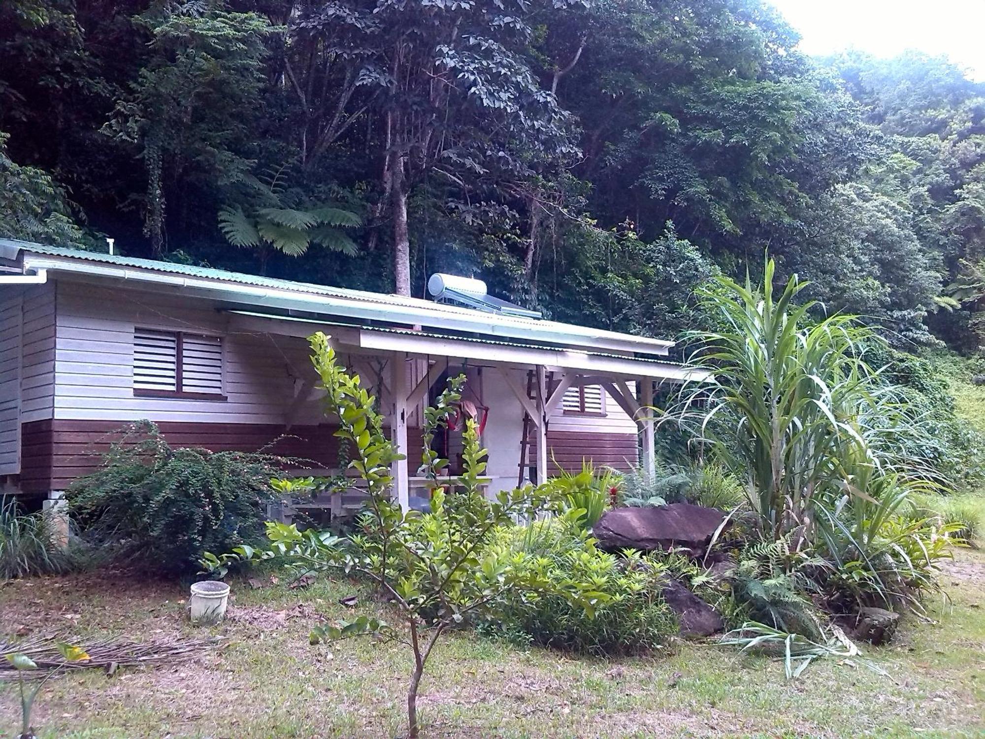 Citrus Creek Plantation Villa La Plaine Ruang foto