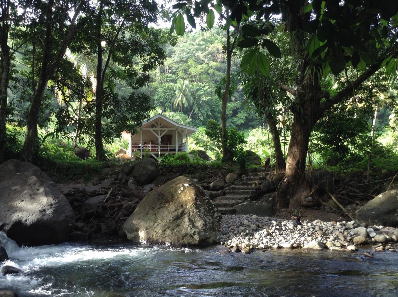 Citrus Creek Plantation Villa La Plaine Bagian luar foto