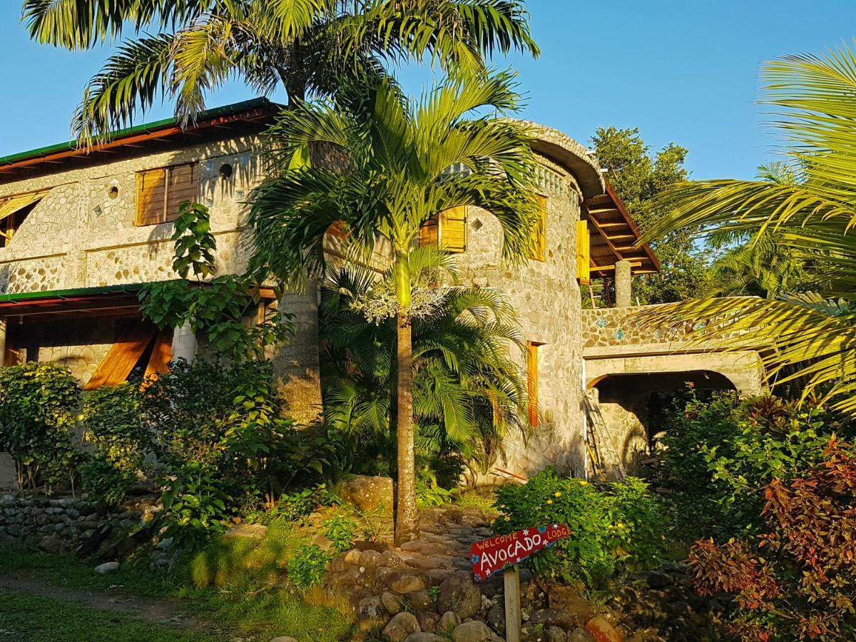 Citrus Creek Plantation Villa La Plaine Bagian luar foto