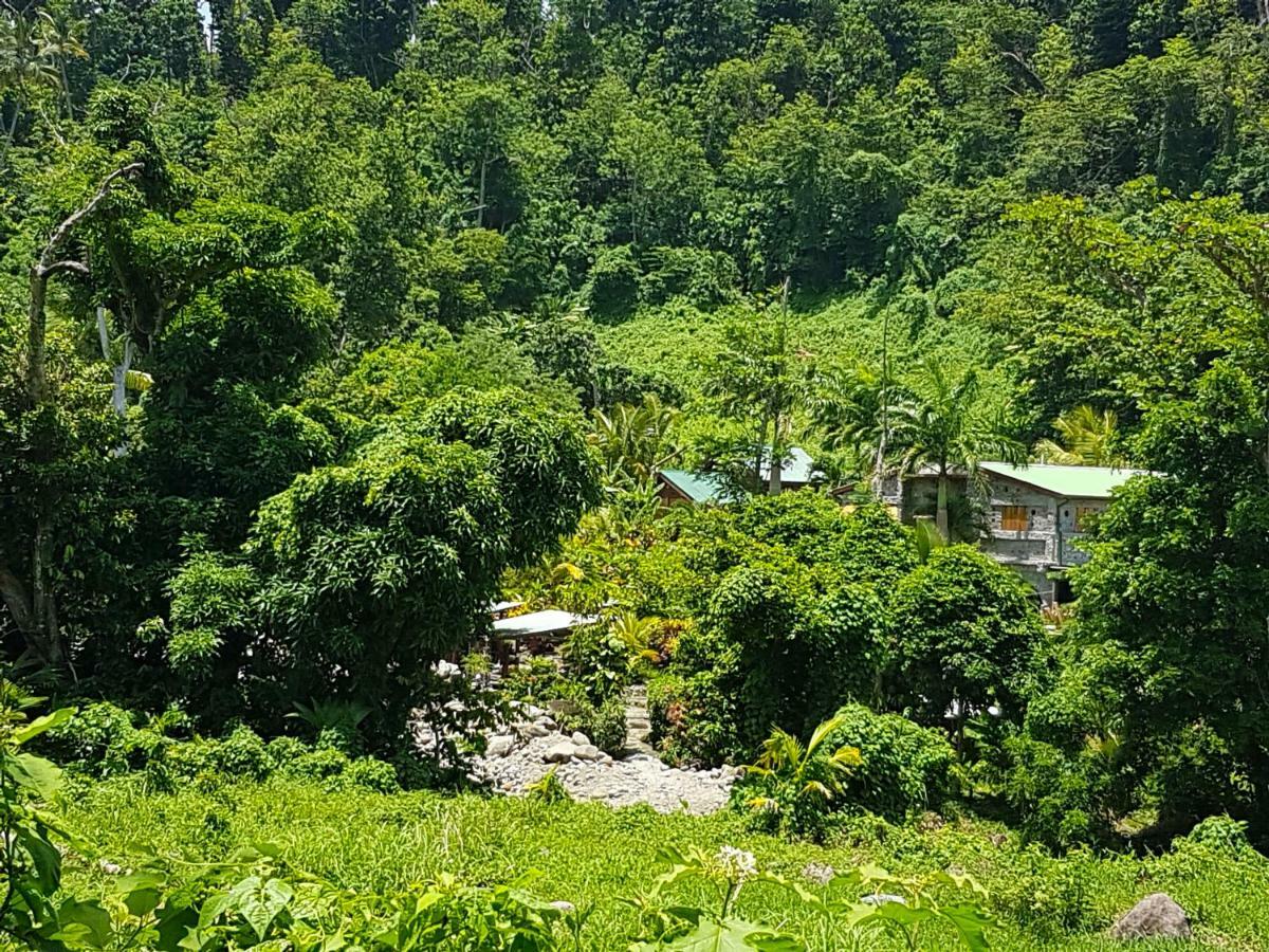 Citrus Creek Plantation Villa La Plaine Bagian luar foto